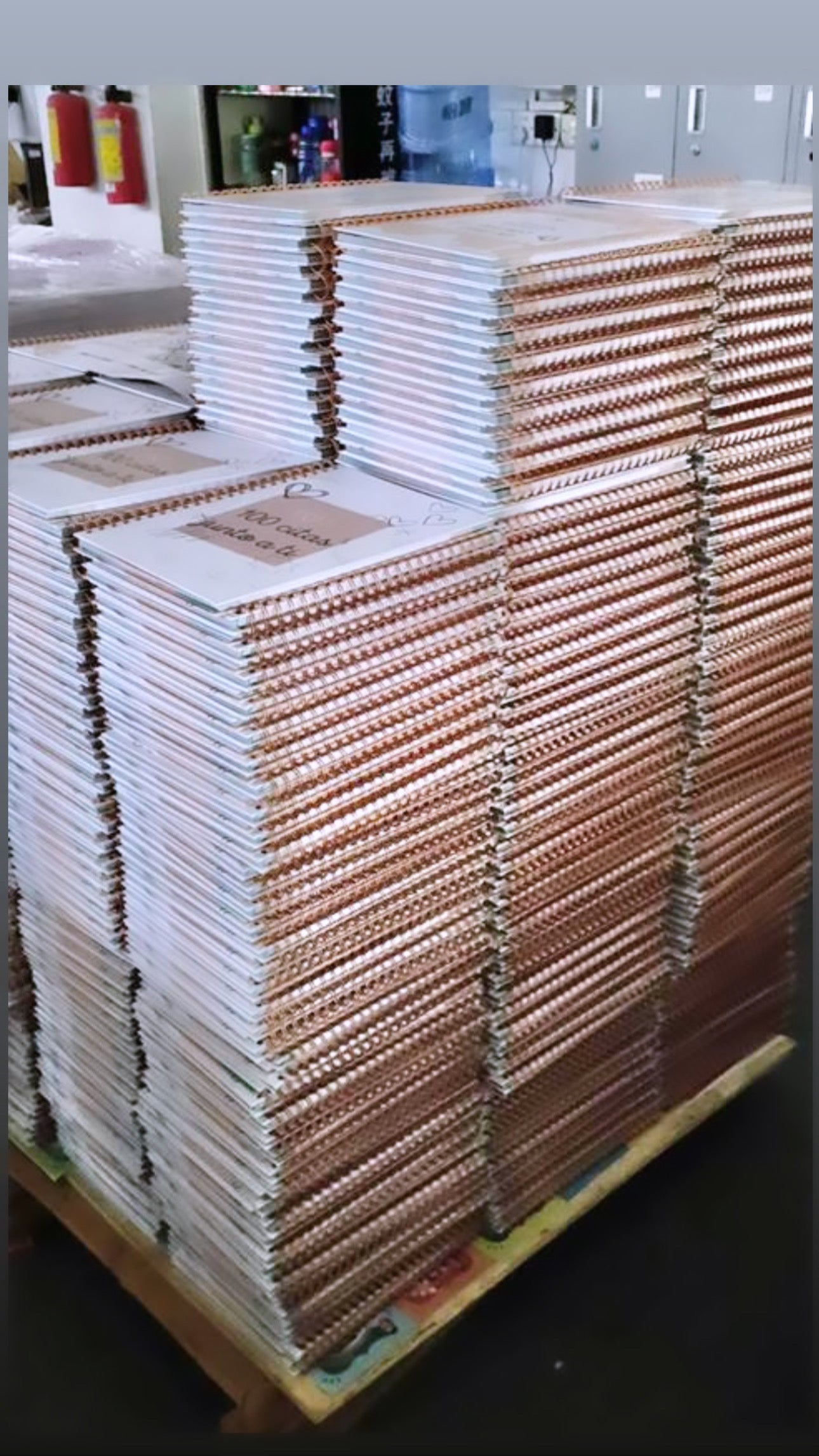 100 CITAS JUNTO A TI ! HERMOSO LIBRO IMPRESO. 